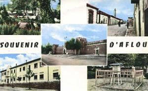 Aflou 712